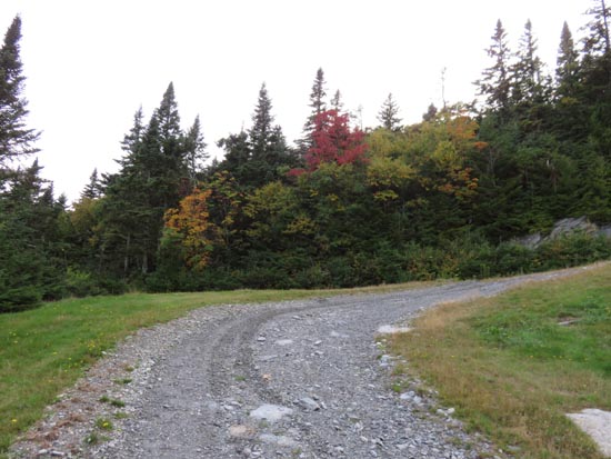 Looking up the ski trails