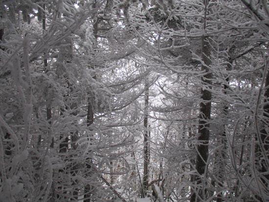 A lack of views on Little Killington - Click to enlarge