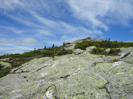 The Long Trail