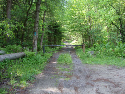 The beginning of the logging road off Wheelerville Road