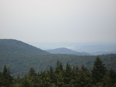 View from the Mt. Olga firetower