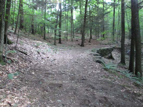 One of many carriage roads on Mt. Tom, which were apparently the inspiration for Acadia's