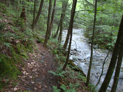 The Clark Brook Trail