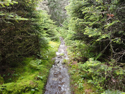 The Long Trail between Mt. Ellen and Nancy Hanks Peak