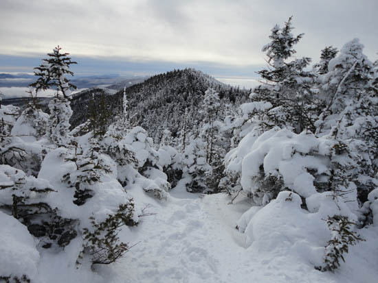 The Long Trail between Mt. Ellen and Nancy Hanks Peak