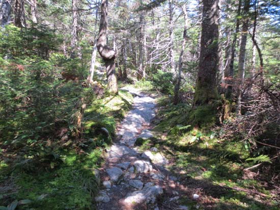The Long Trail on the way to the Nose