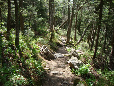 The Appalachian Trail between Killington Peak and Pico Peak