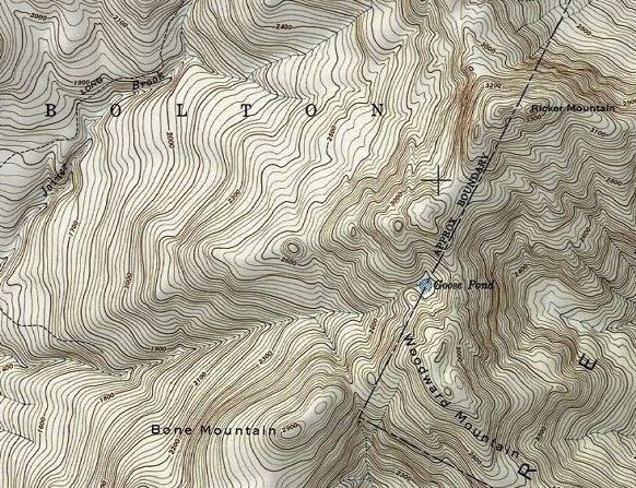 Topographic map of Ricker Mountain, Vista Peak, Woodward Mountain, Bone Mountain