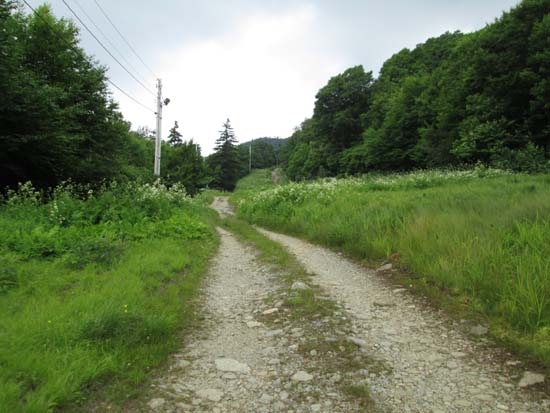 The access road up the ski trails