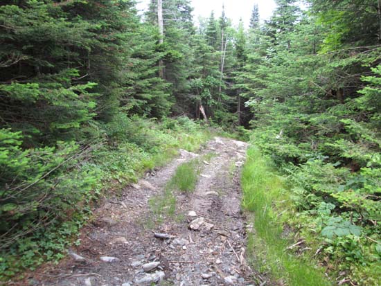 The access road between Ricker Mountain and Vista Peak
