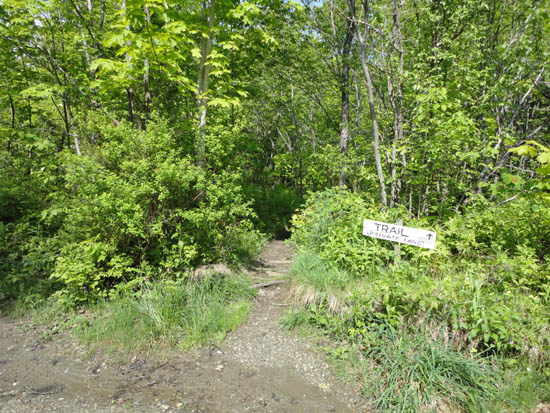 The trailhead on Wheeler Mountain Road