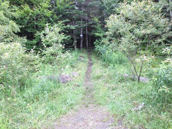 The Middlesex Trail trailhead